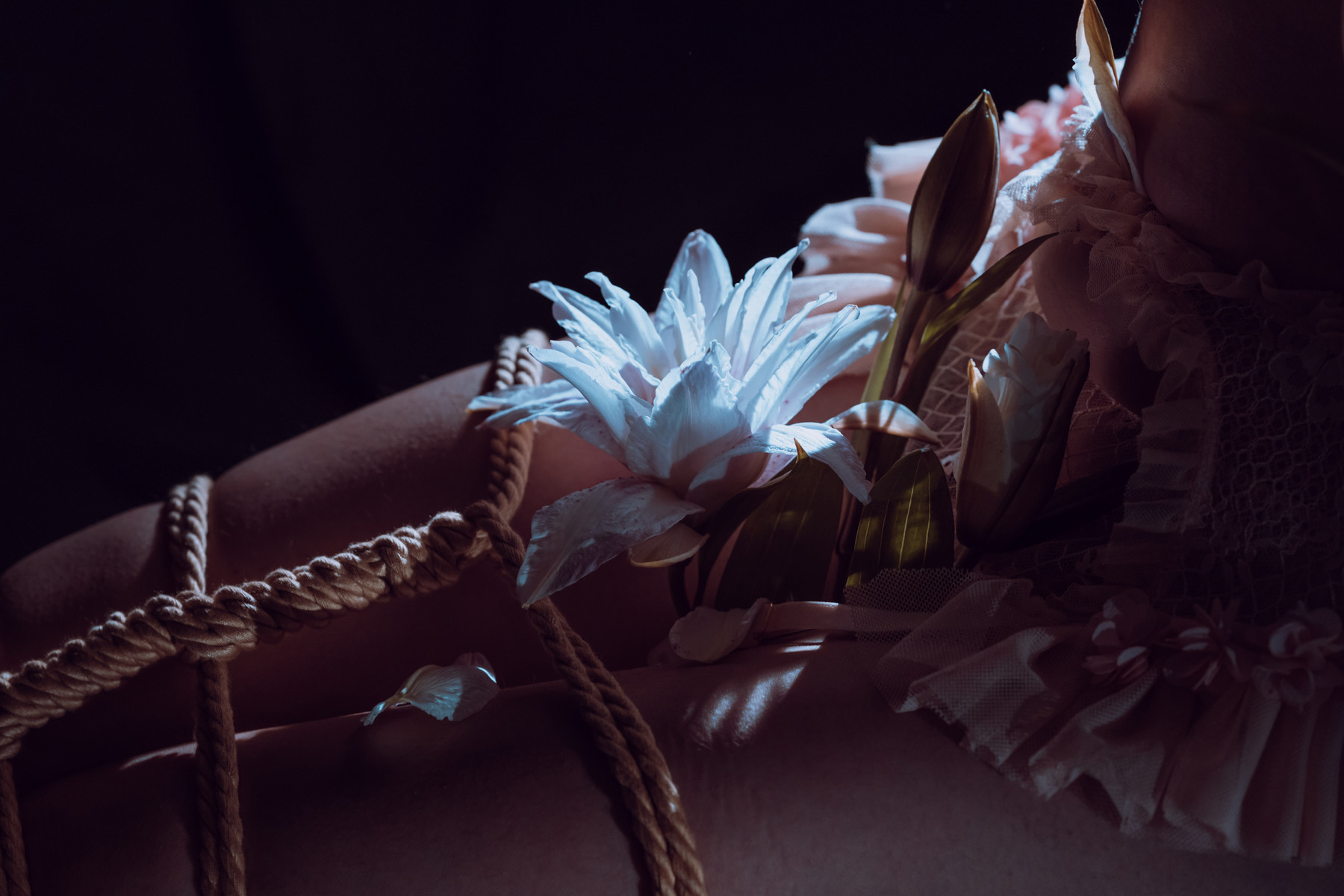 云溪溪 Cosplay 花与绳 Flower and Rope(23)