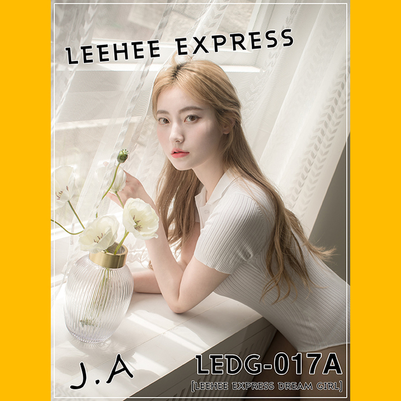 J.A [LEEHEE EXPRESS] LEDG-017A+B Set.01(1)