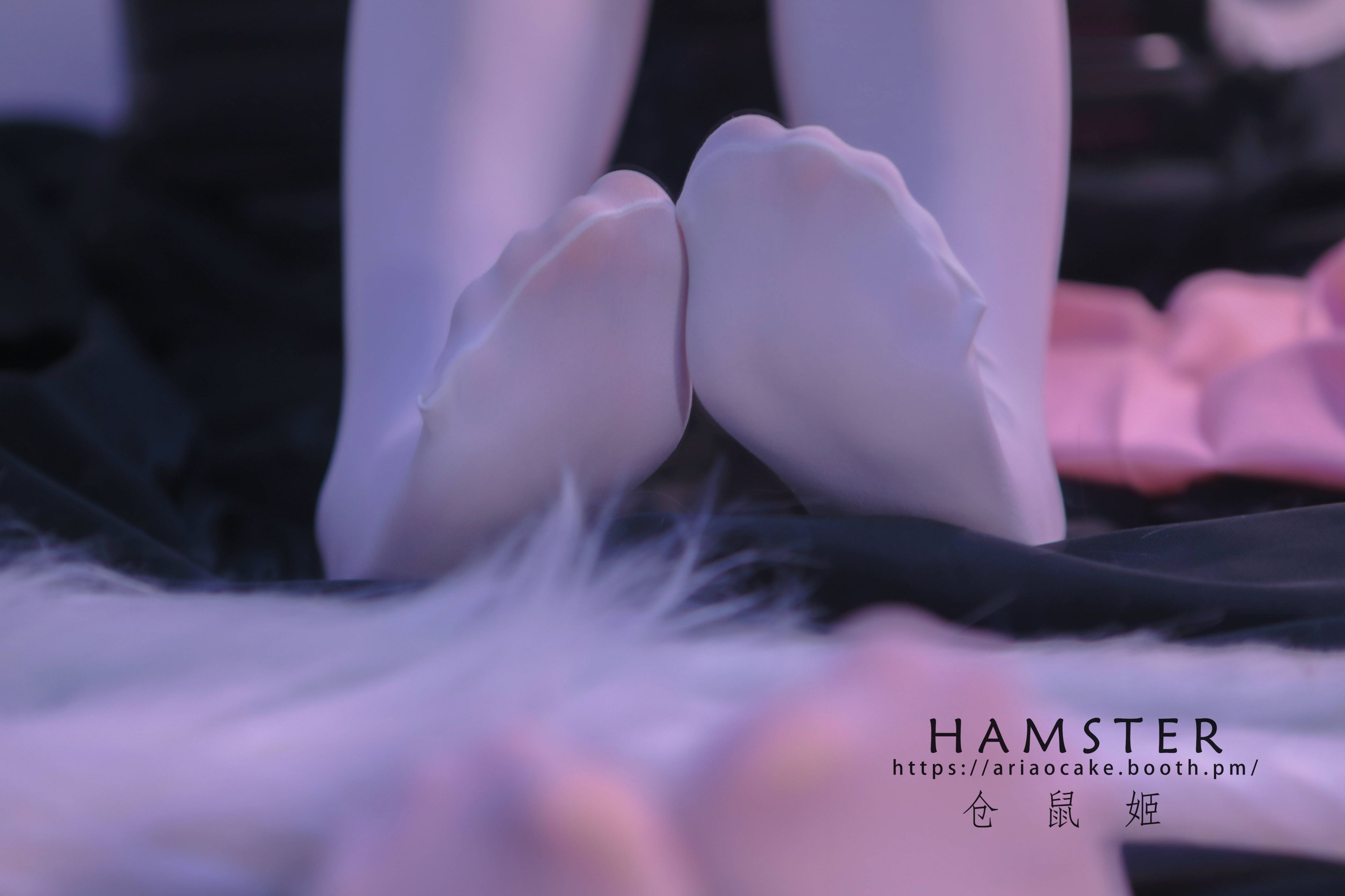 HAMSTERS 仓鼠姬 - NO.005 VOL.02 居家女友2 [34P-38MB](15)