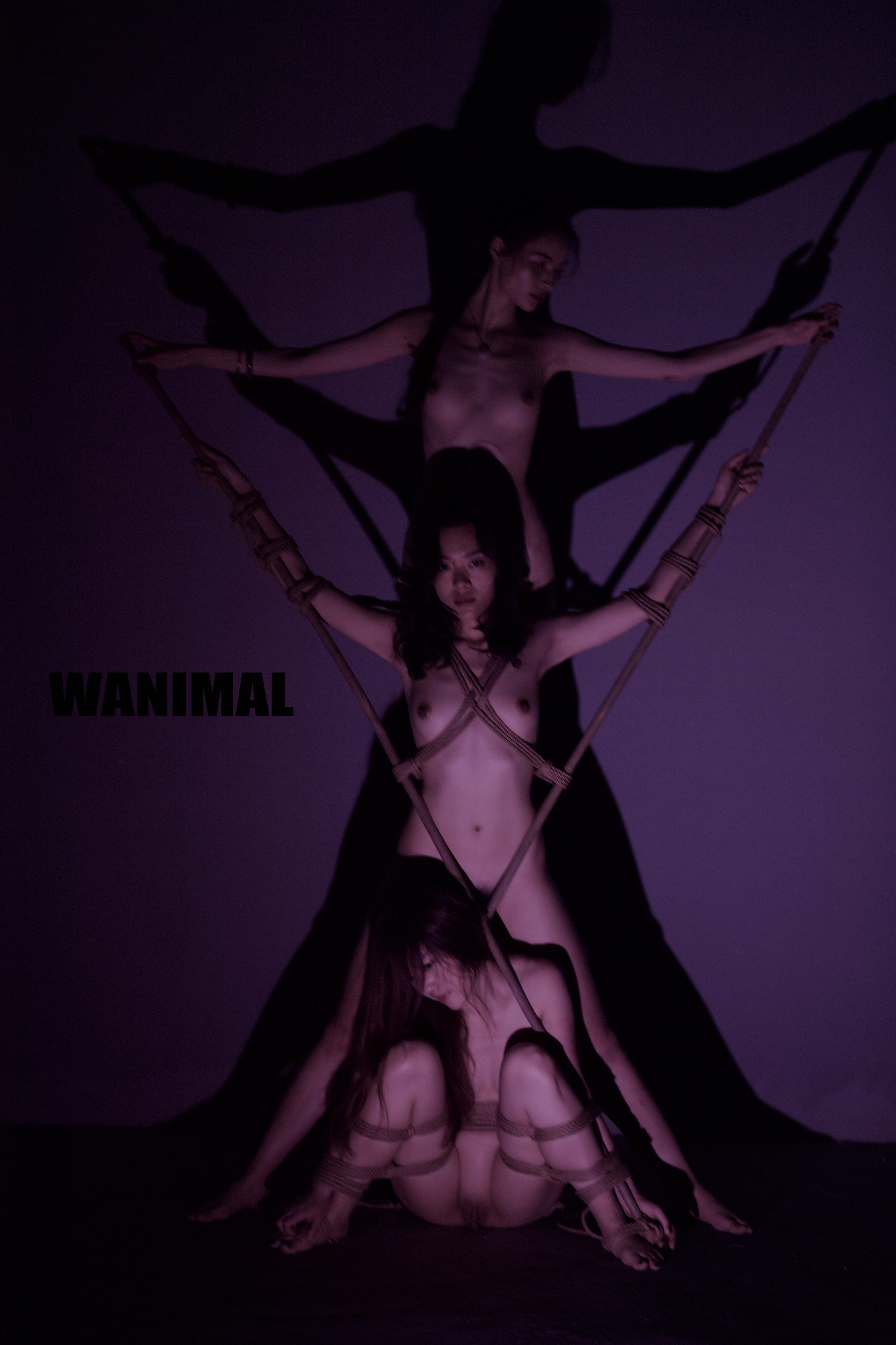 王动WANIMAL - SM绳艺 150P(78)