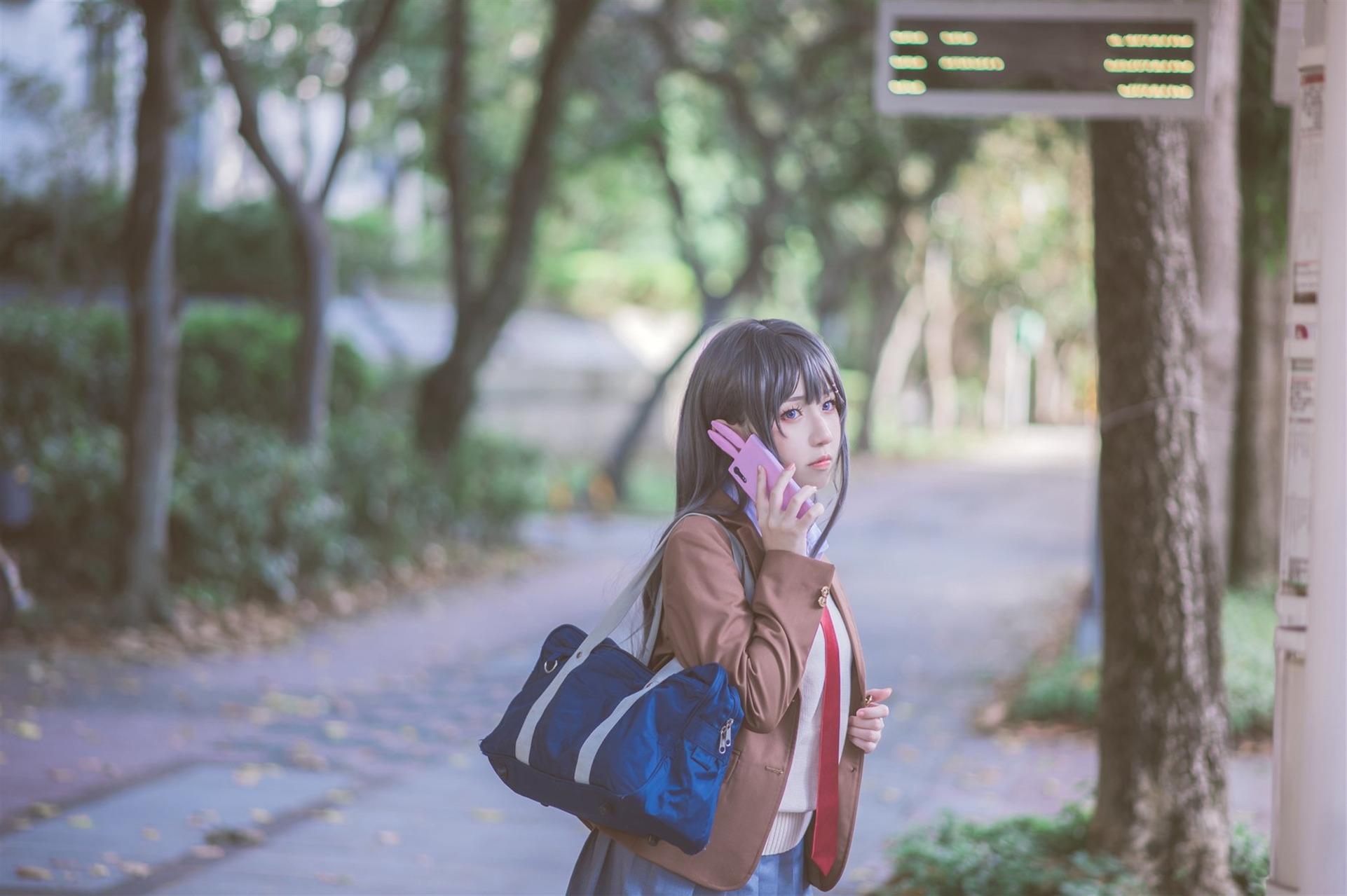 [Shika熾鹿] Mai Sakurajima 桜島麻衣 (青春ブタ野郎)(10)