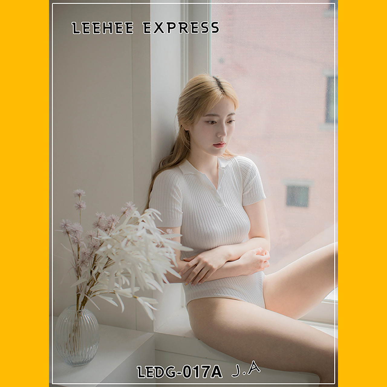 J.A [LEEHEE EXPRESS] LEDG-017A+B Set.01(2)