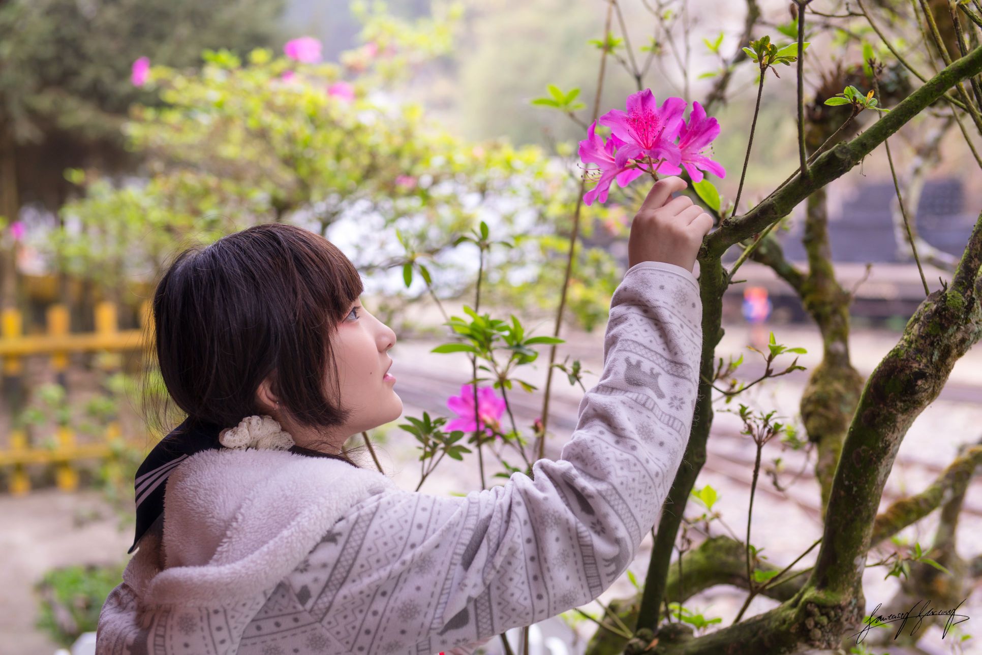 小丁-慾茶園[39P](25)