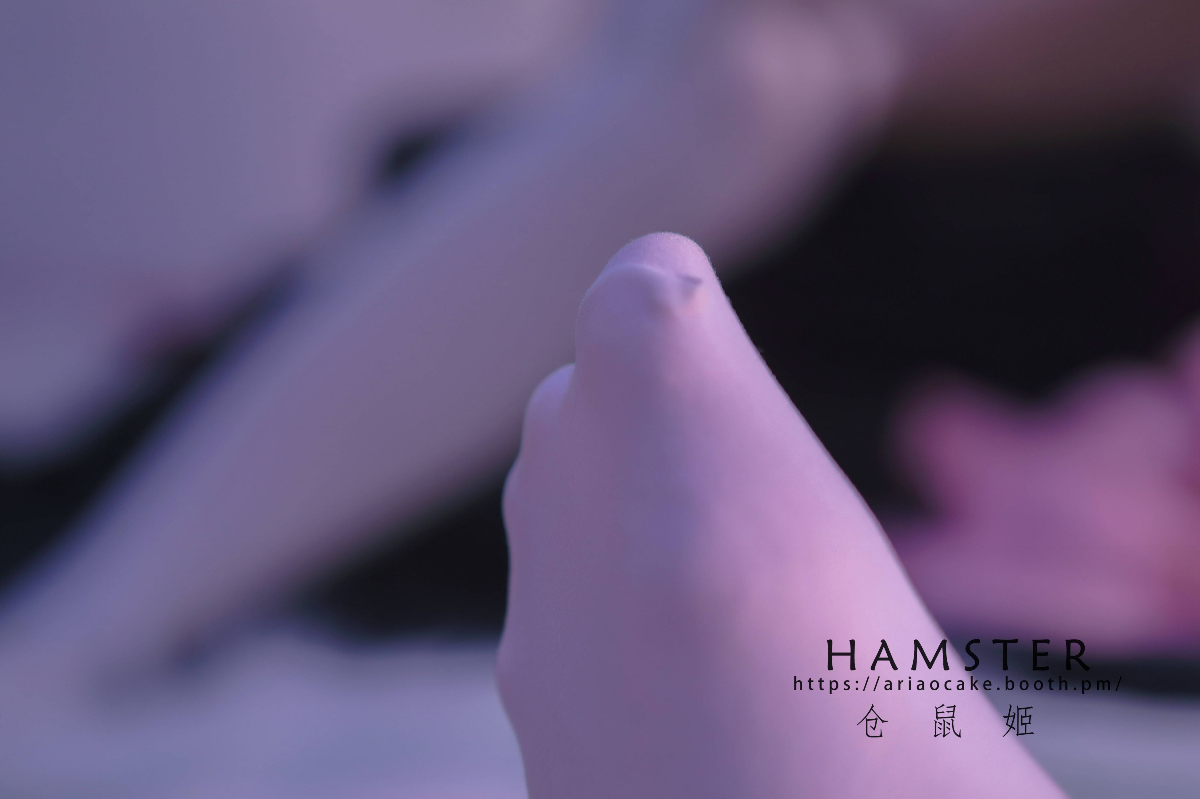 HAMSTERS 仓鼠姬 - NO.005 VOL.02 居家女友2 [34P-38MB](19)