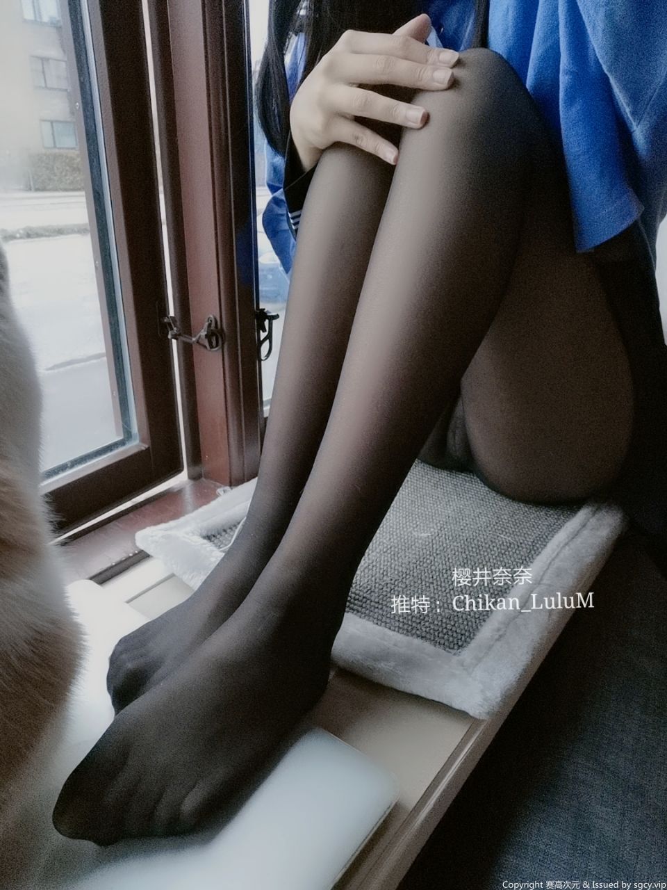 樱井奈奈-无缝黑丝[38P1V](37)