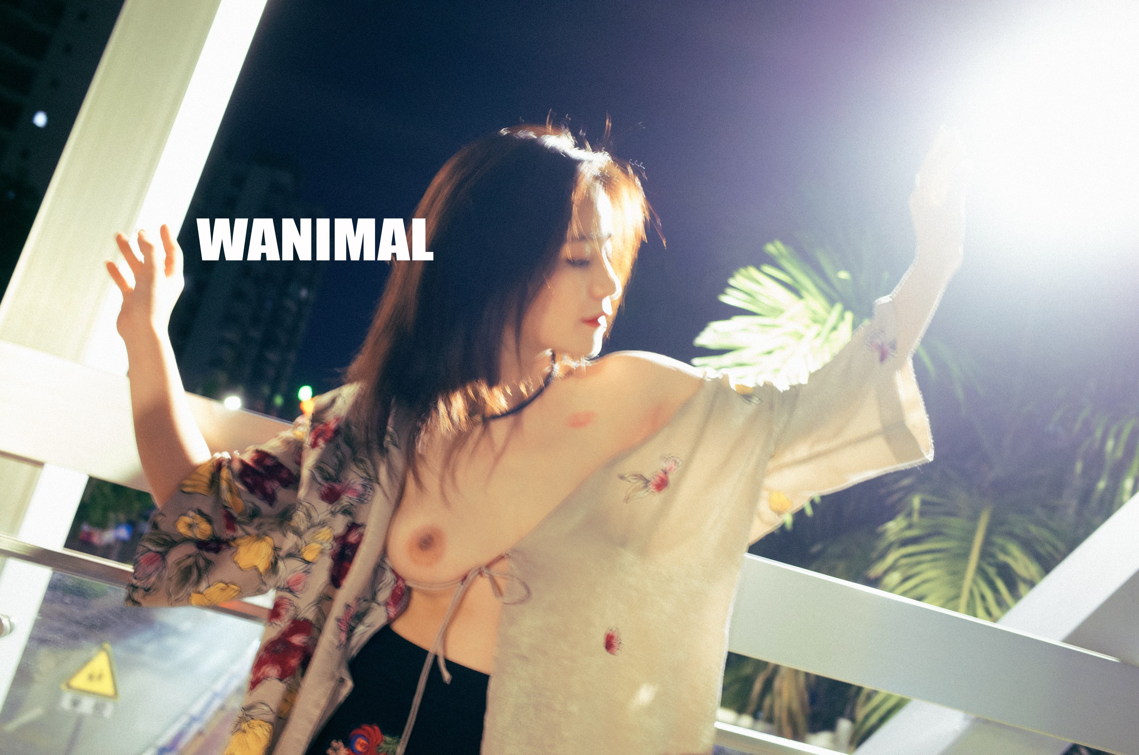 WANIMAL王动作品 154P(60)