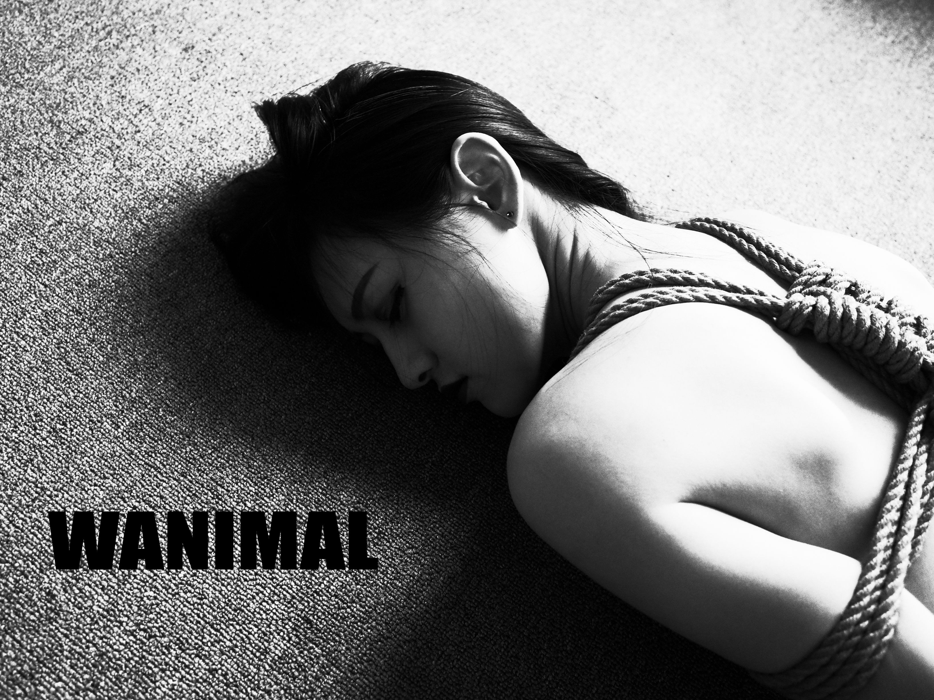 王动WANIMAL - SM绳艺 150P(145)